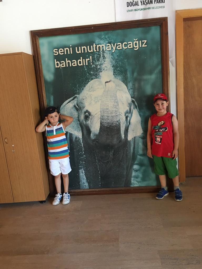 filkumpir-hakkimizda3